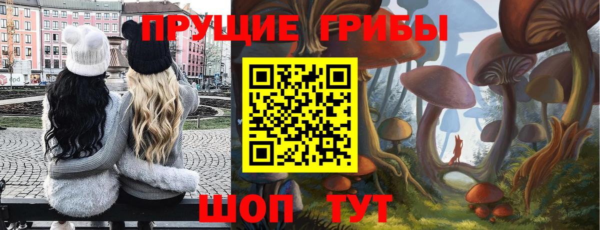 БУТИРАТ Новоалександровск